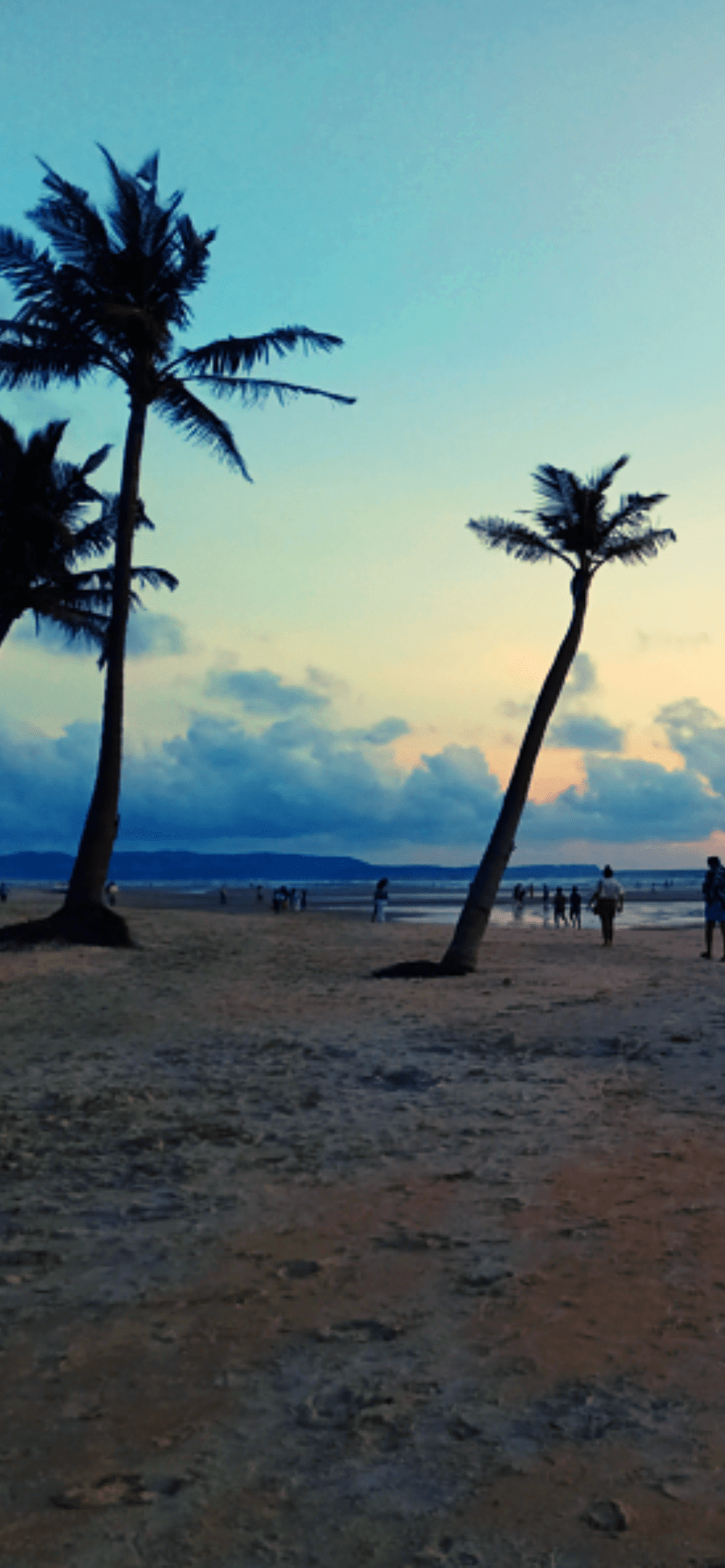 Zuri Beach Goa | White Sand Beach – Varca - GOAMYGOA - A QUICK AND HANDY  TRAVEL GUIDE